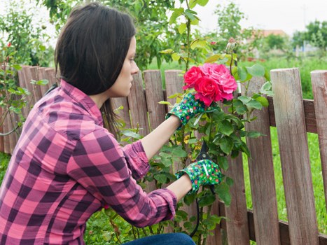 Team of gardeners setting up tools in a residential garden